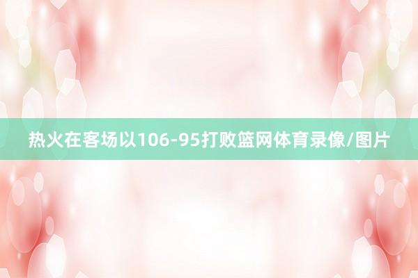 热火在客场以106-95打败篮网体育录像/图片