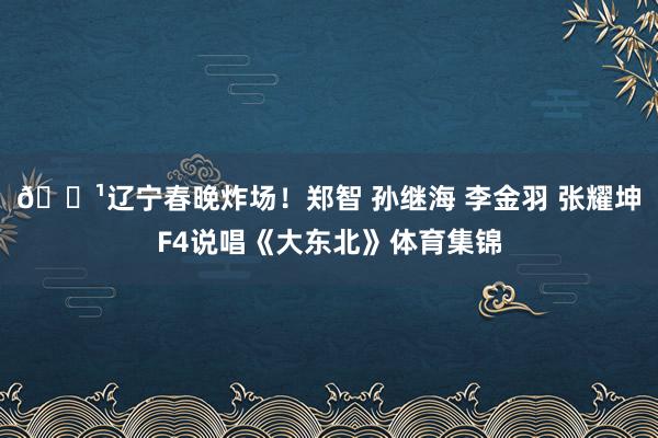 📹辽宁春晚炸场!郑智 孙继海 李金羽 张耀坤F4说唱《大东北》体育集锦