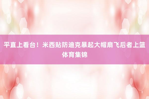 平直上看台!米西贴防迪克暴起大帽扇飞后者上篮体育集锦