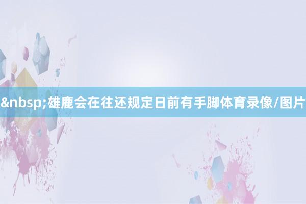 雄鹿会在往还规定日前有手脚体育录像/图片
