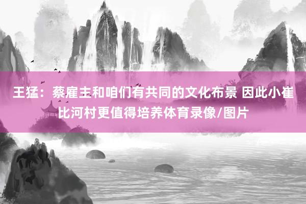 王猛：蔡雇主和咱们有共同的文化布景 因此小崔比河村更值得培养体育录像/图片